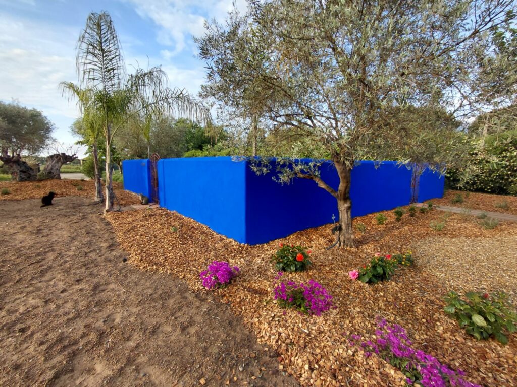 WhatsApp Image 2025-04-28 at 17.59.21(1)