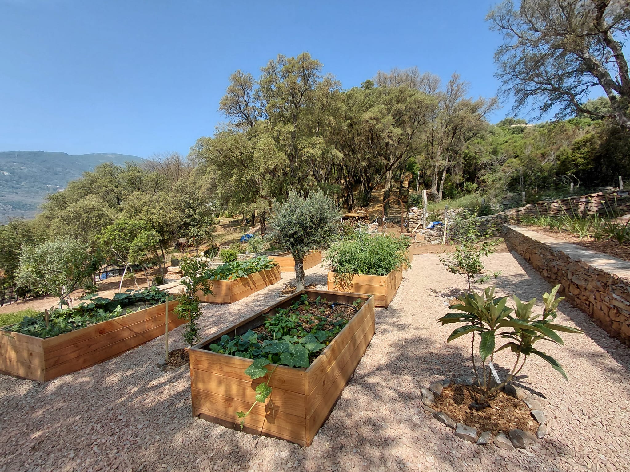 Destockage corse big bag pour des jardinières en bois qui structurent un jardin en Corse, avec du gravier et des galets.